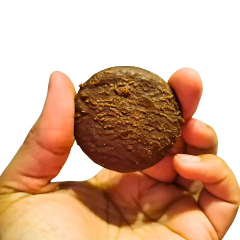 Galleta de Chocolate DANI 11g - Imagen 2